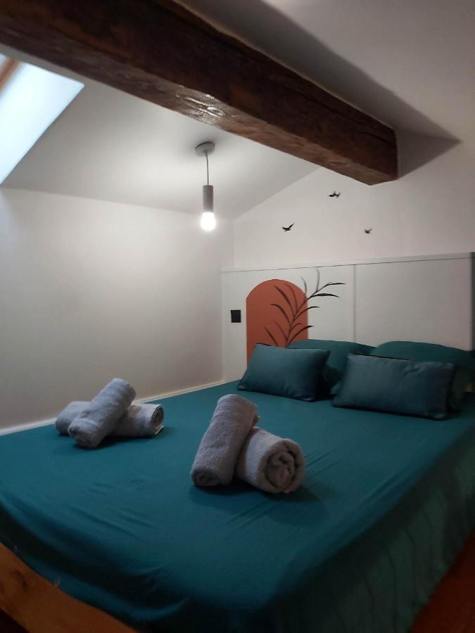 Le Studio D'Emma Apartment Romans-sur-Isere Ngoại thất bức ảnh